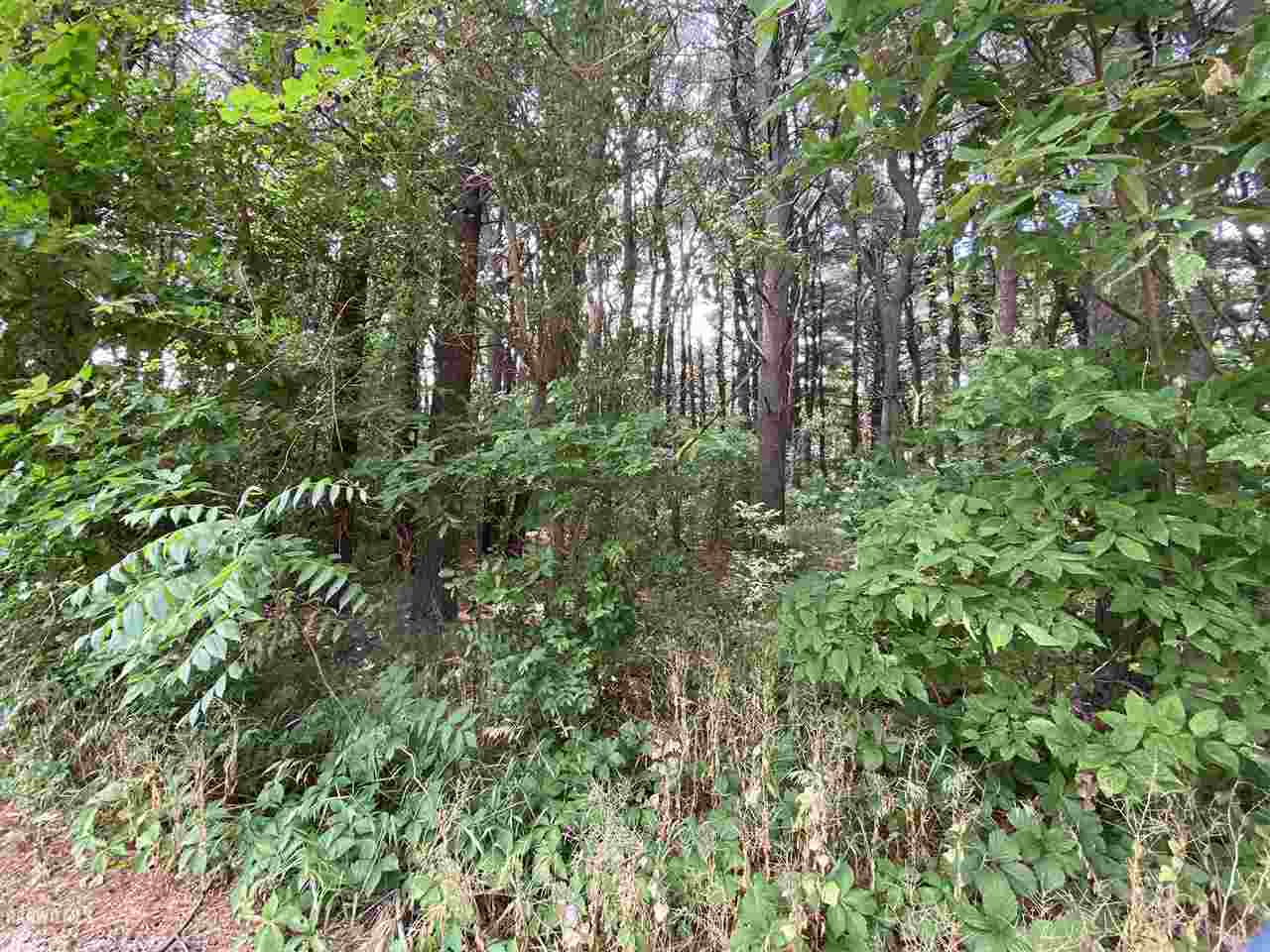 Listing view 2