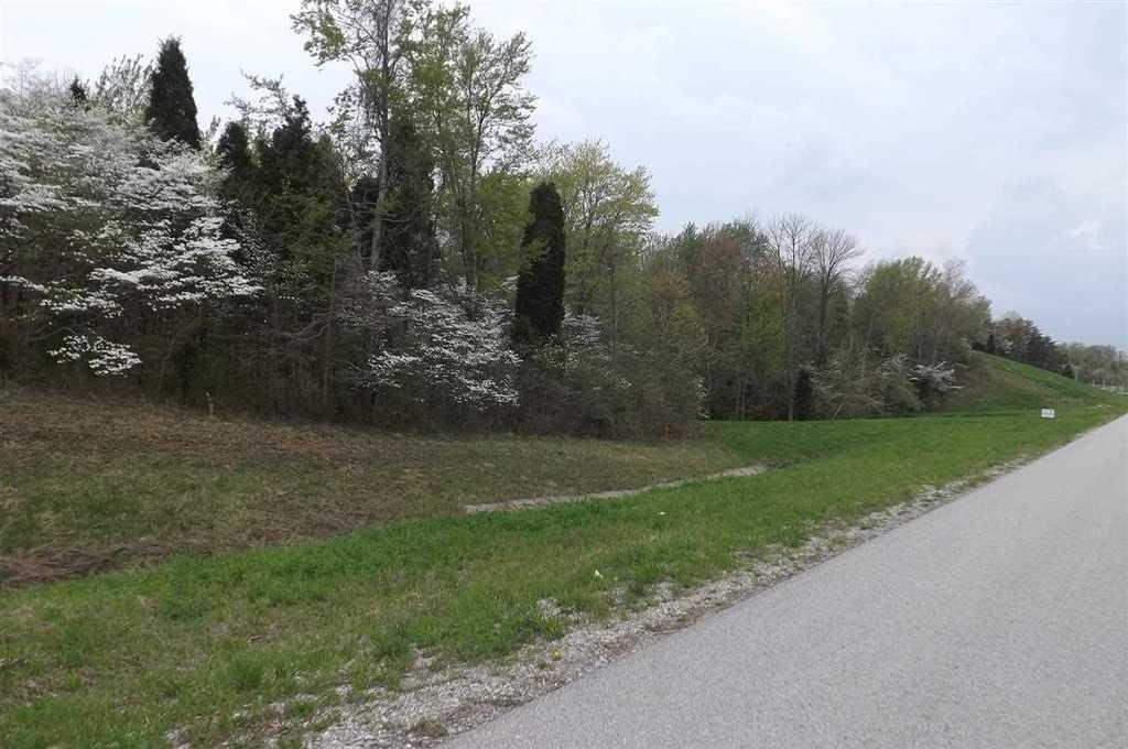 Hwy 162 S Christmas Blvd  