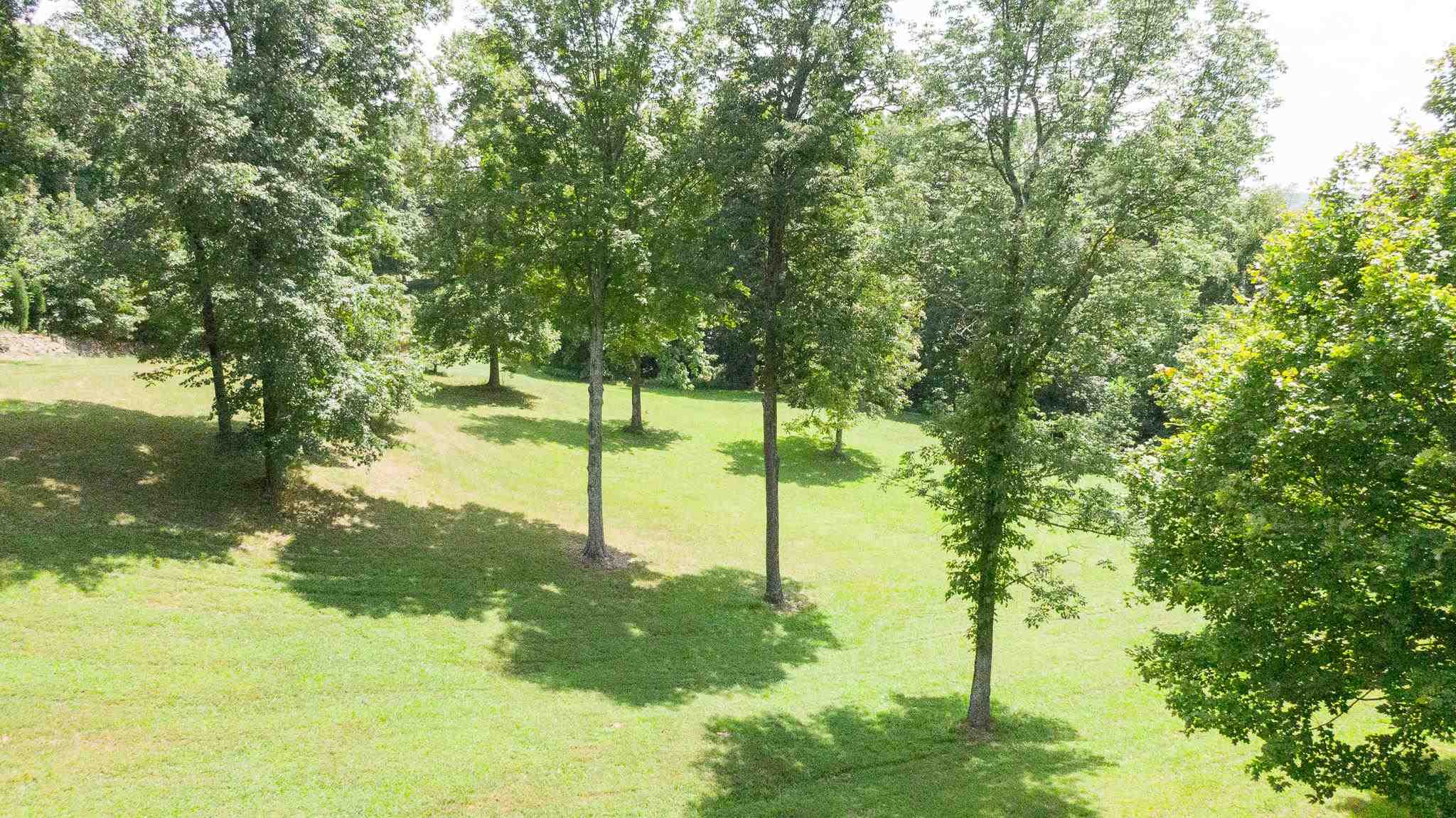 Listing view 2