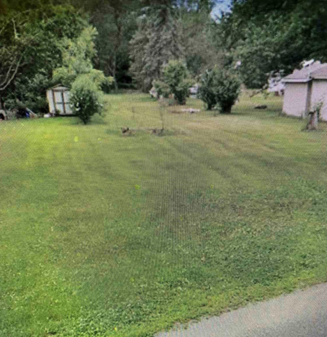 53743 County Road 5 St  