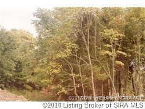 Listing view 2