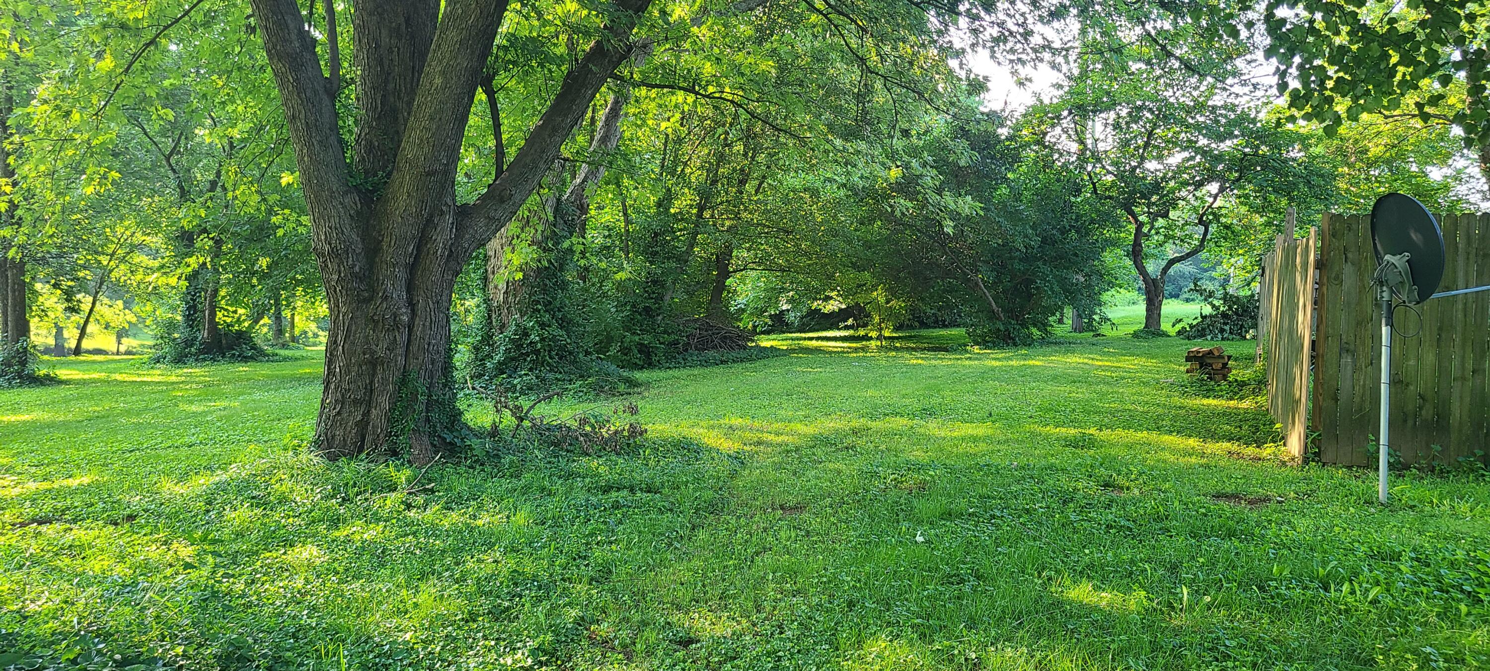 Property view