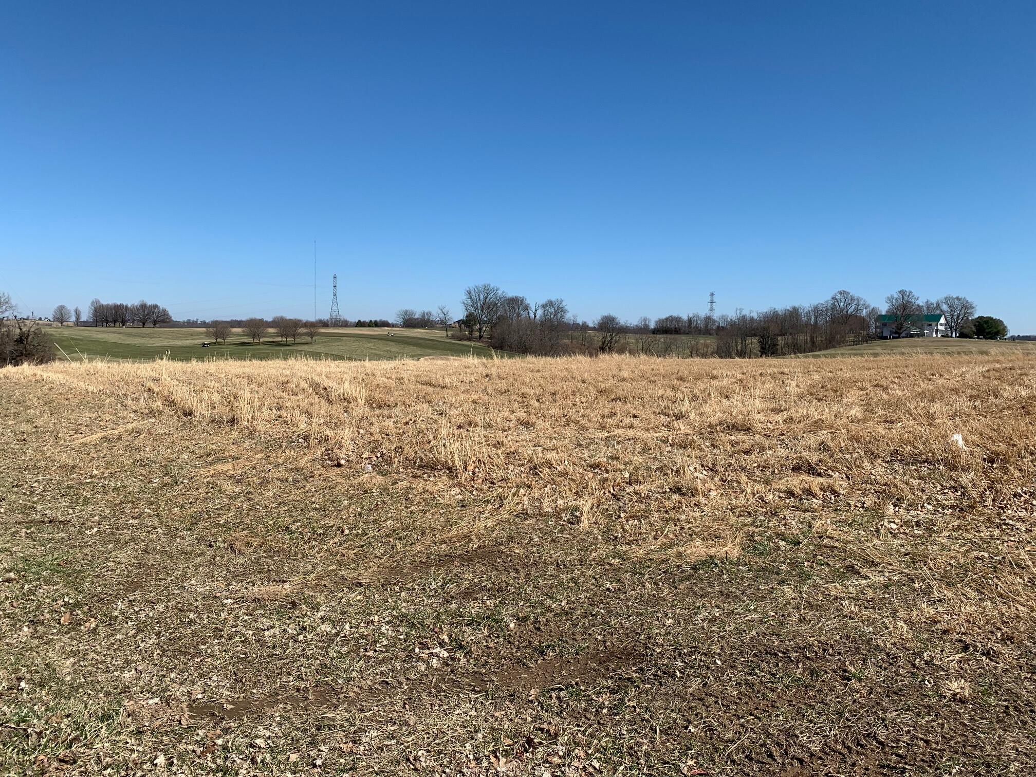 Listing view 2