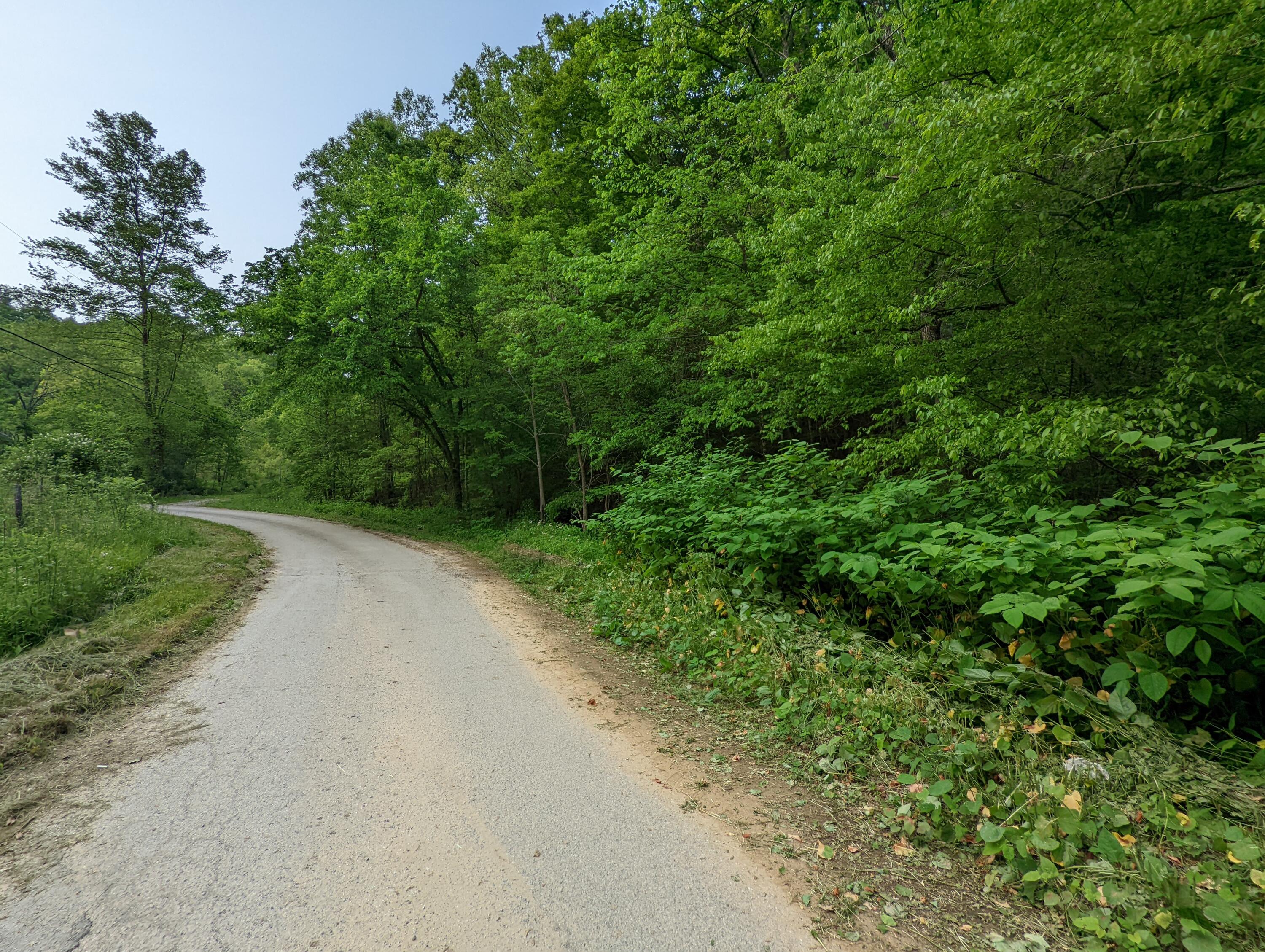 9999 Bell Fork Rd, Flat Lick KY 40935, MLS 23001463