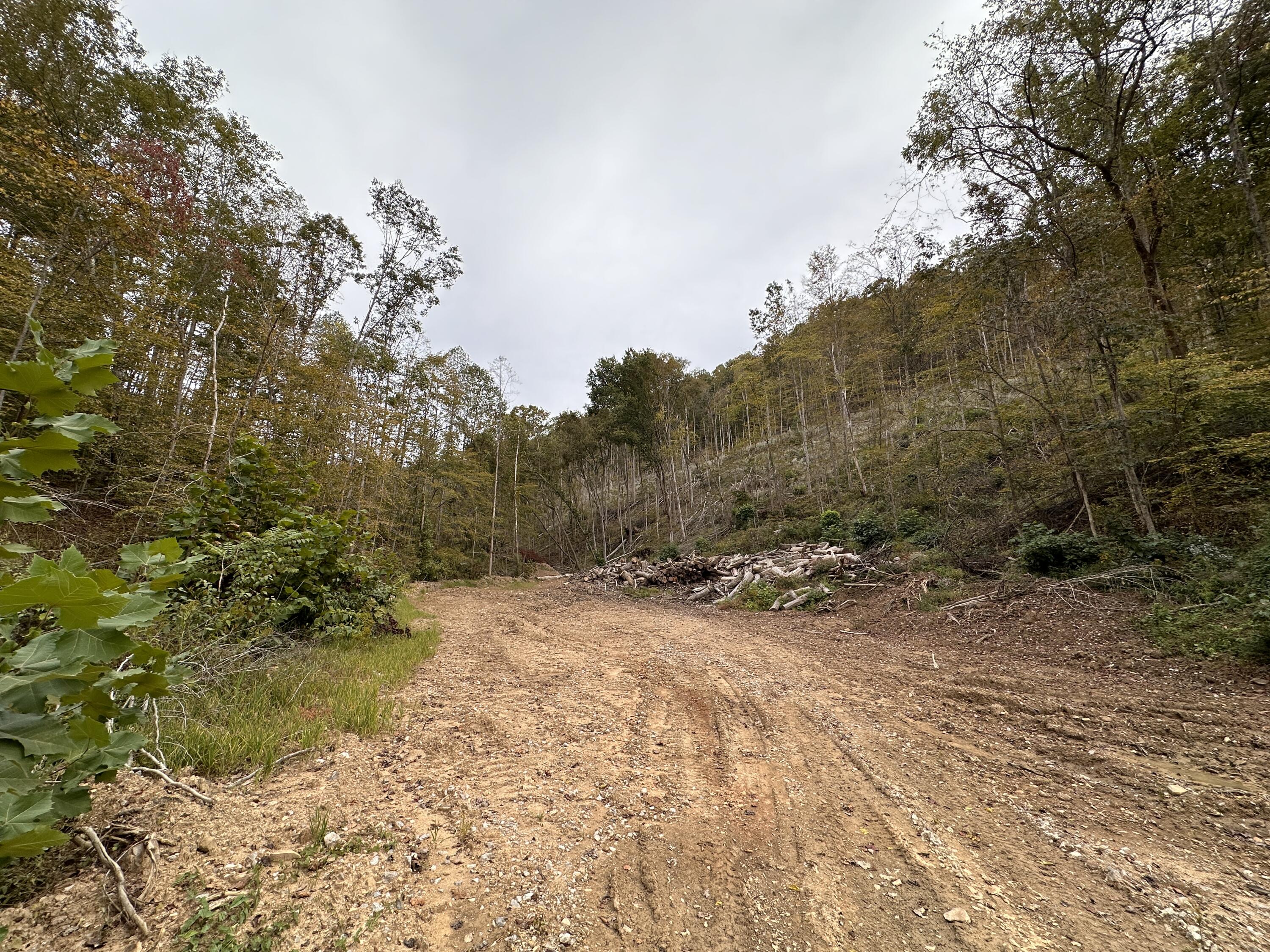 9999 Bell Fork Rd, Flat Lick KY 40935, MLS 23001463