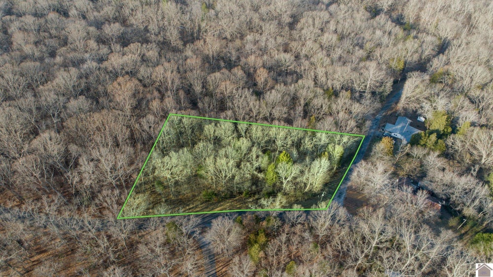000 Kline Trail (lot 18), New Concord, KY 42076 MLS 125033