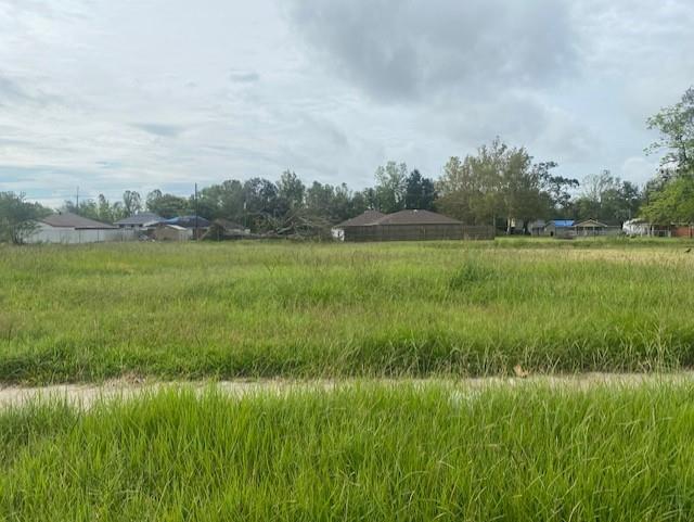 Listing view 2
