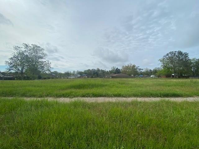 Listing view 2