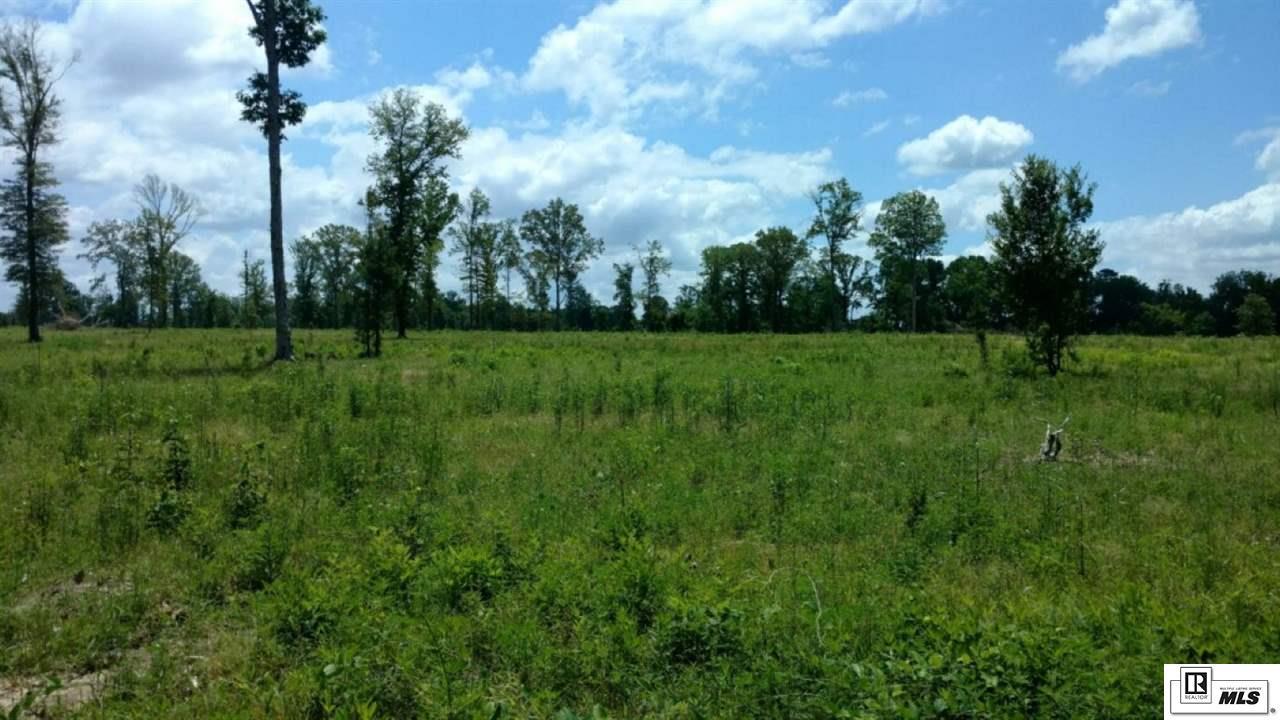 Listing view 2