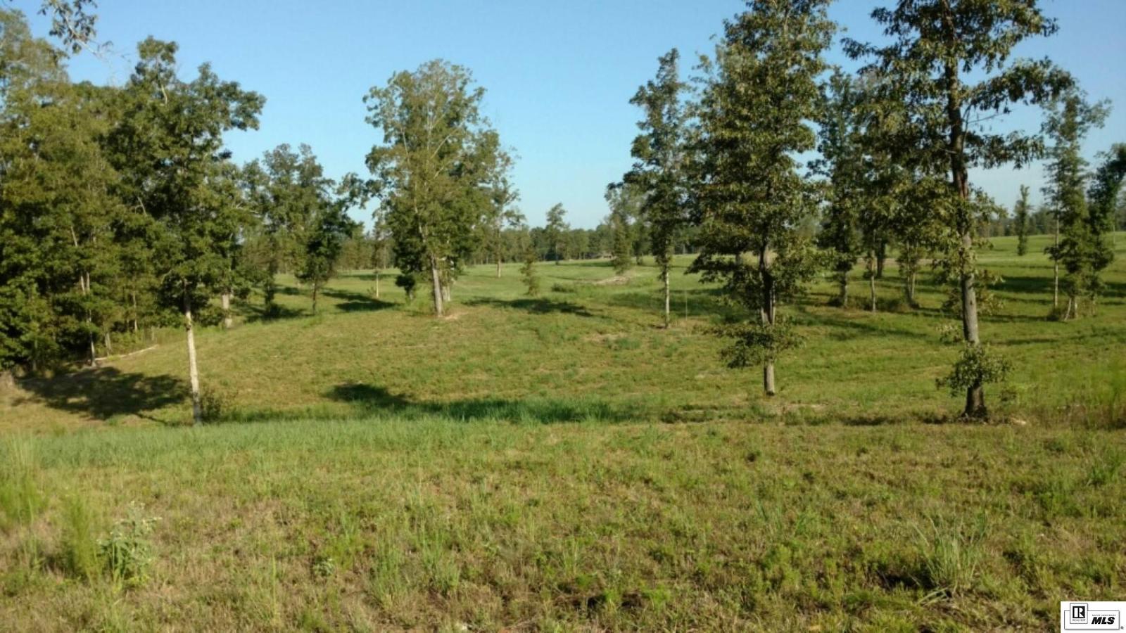 Listing view 3