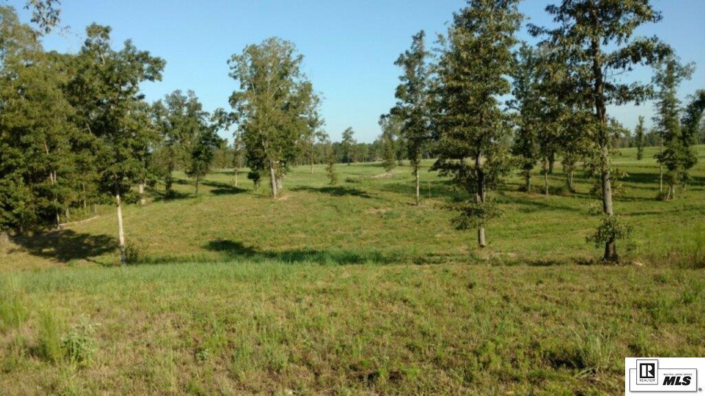 Listing view 3