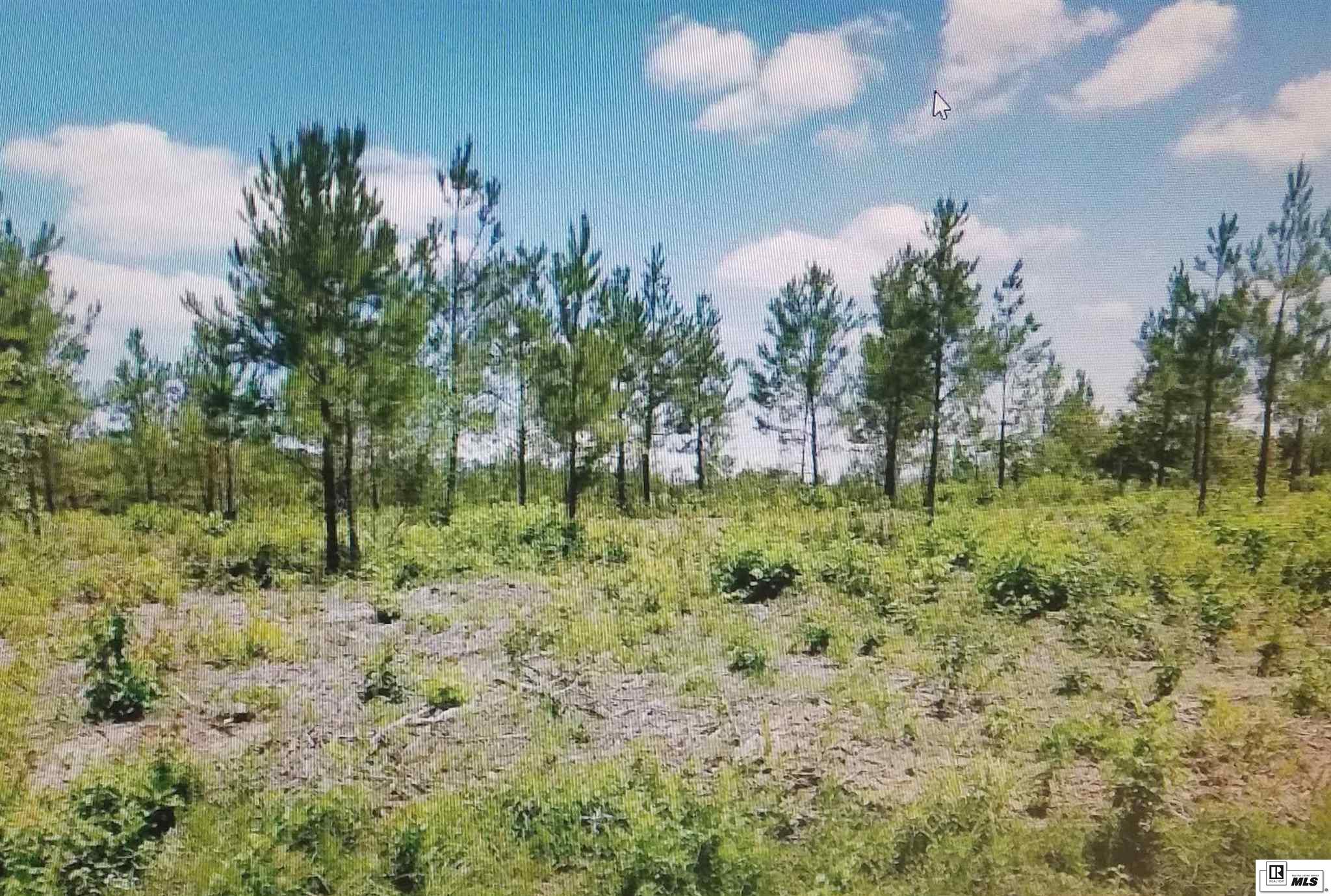 Listing view 2