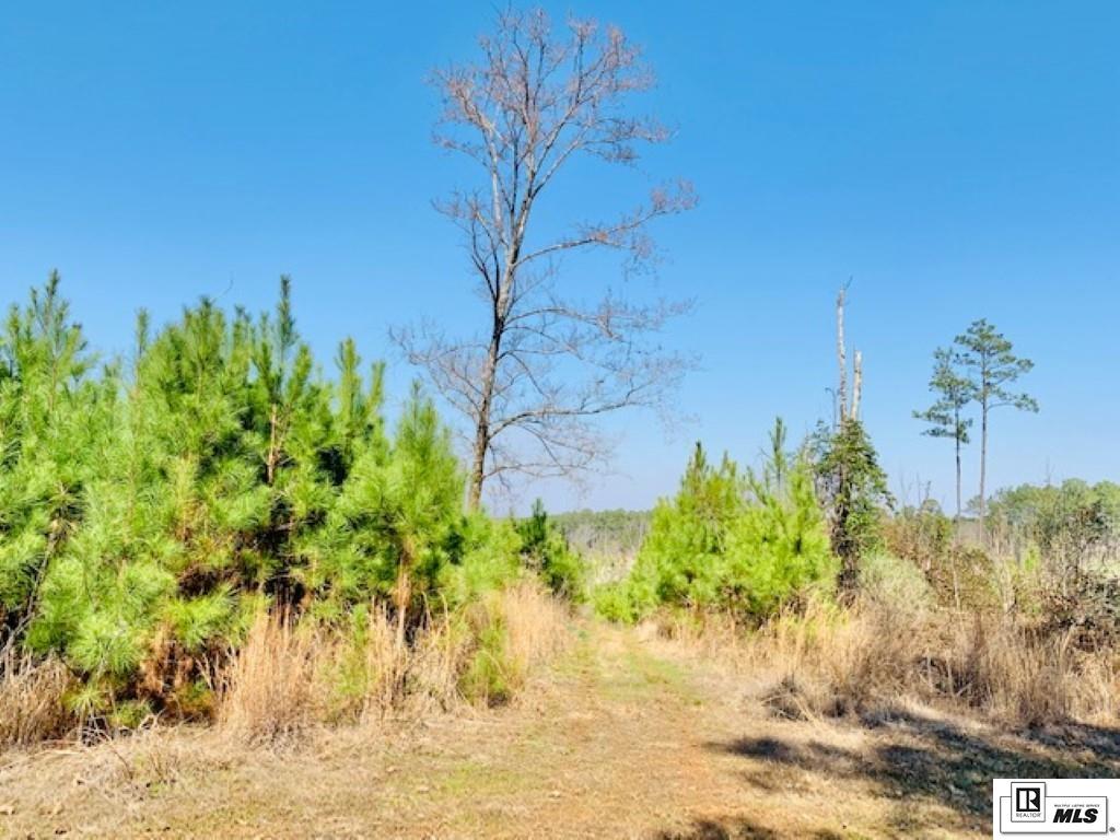 Listing view 2
