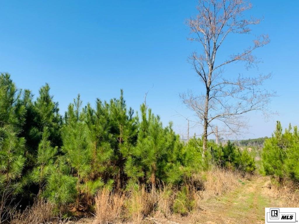 Listing view 3