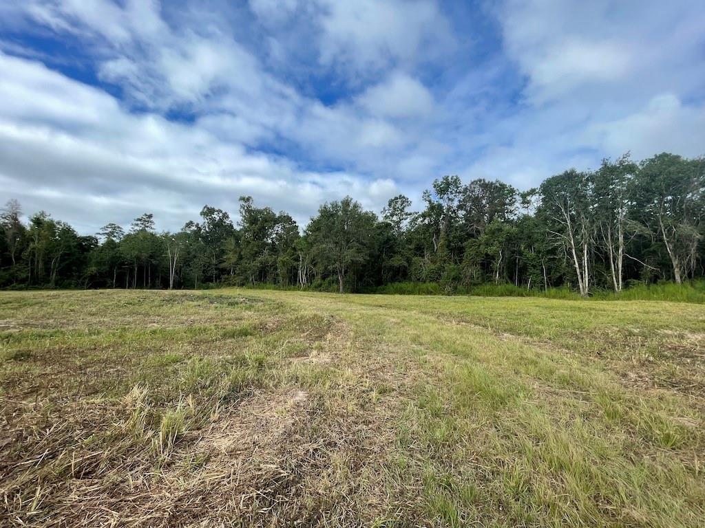 Listing view 2