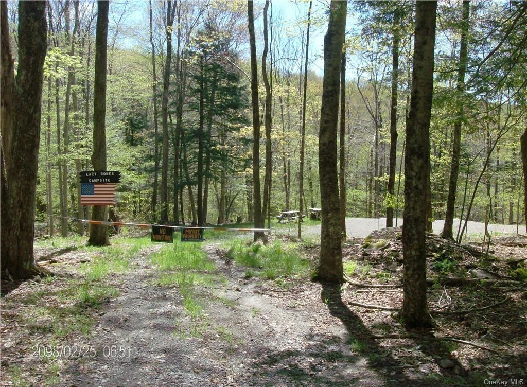 Acidalia, Roscoe, NY 12736 MLS H6080807 Coldwell Banker