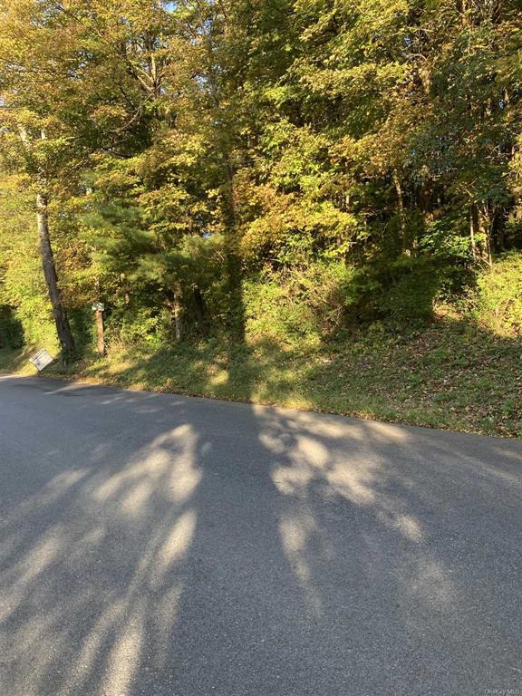 Ruth Lot 12 Drive, Hyde Park, NY 12538 MLS HM418782 Coldwell Banker