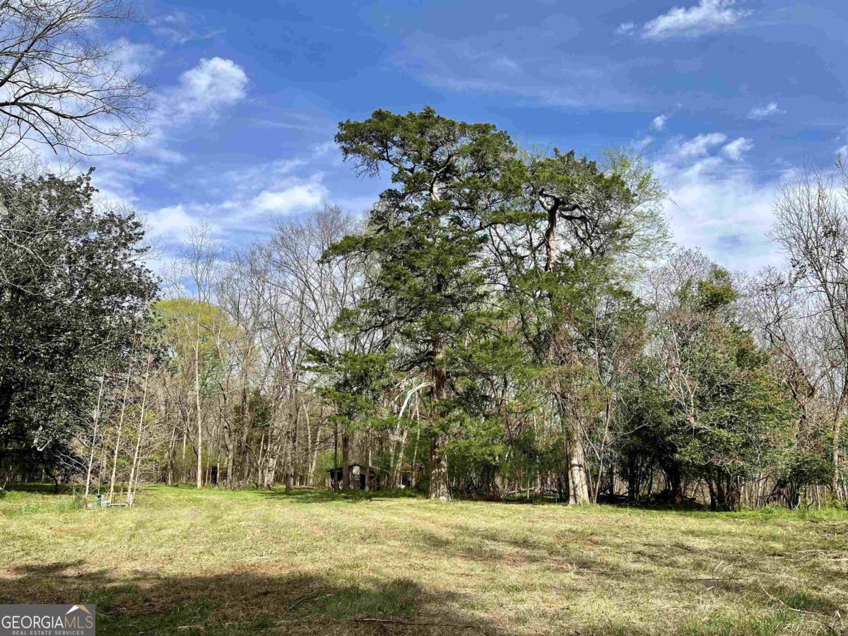 119.40 ACRES Copelan Farm Road, Eatonton, GA 31024 - MLS# 10295010 ...