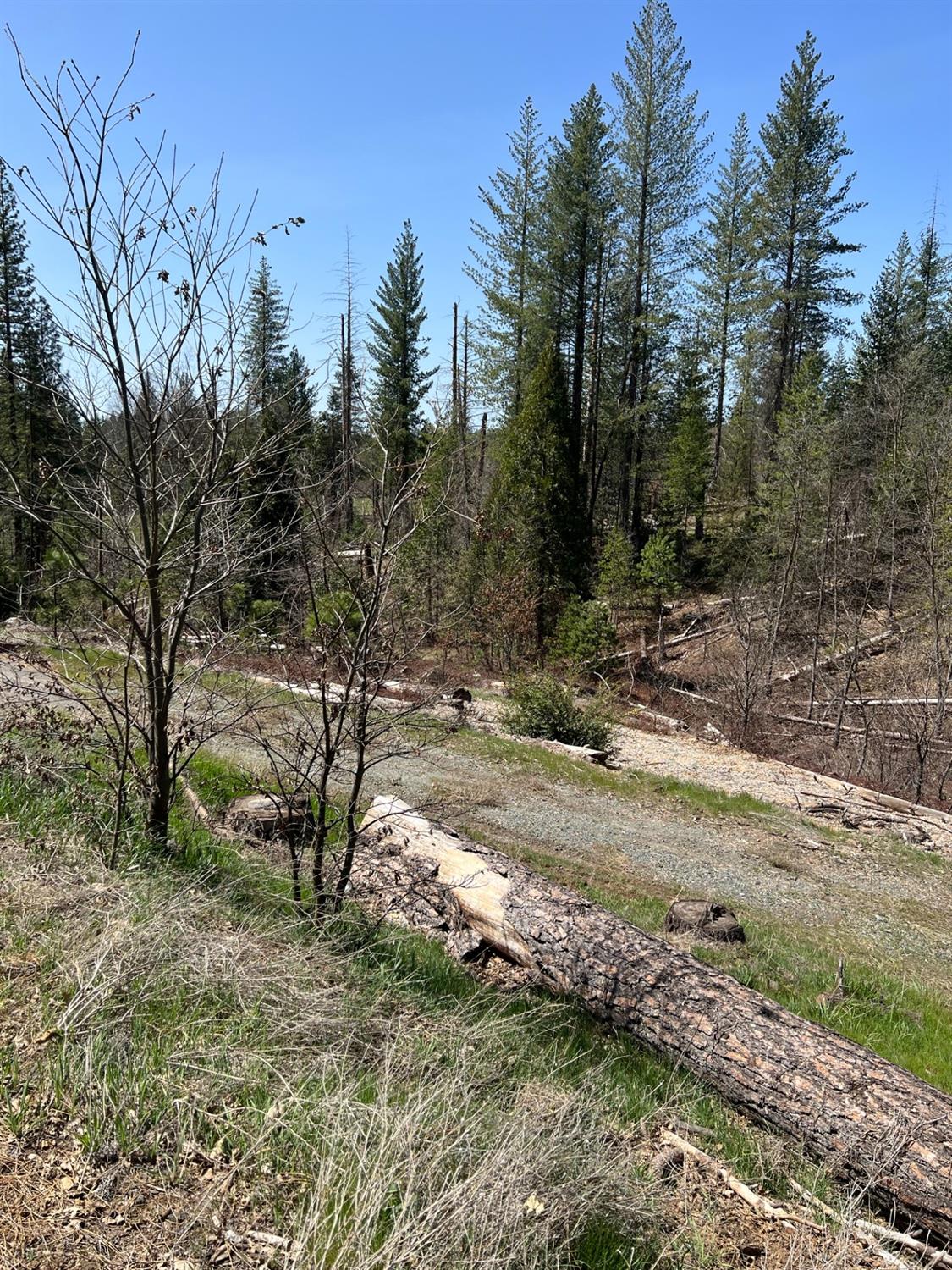 Listing view 3