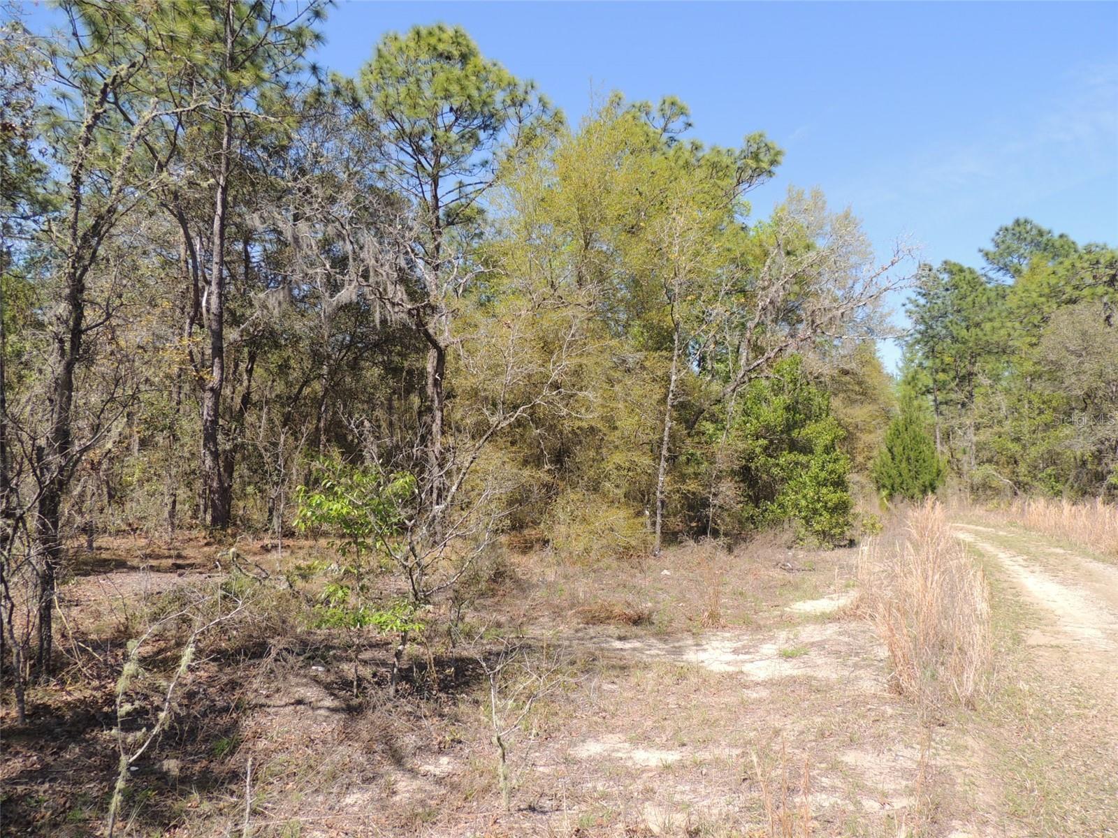 tbd NE 12th Lane & 157th Terrace, Williston, FL 32696 - MLS# OM674275 ...