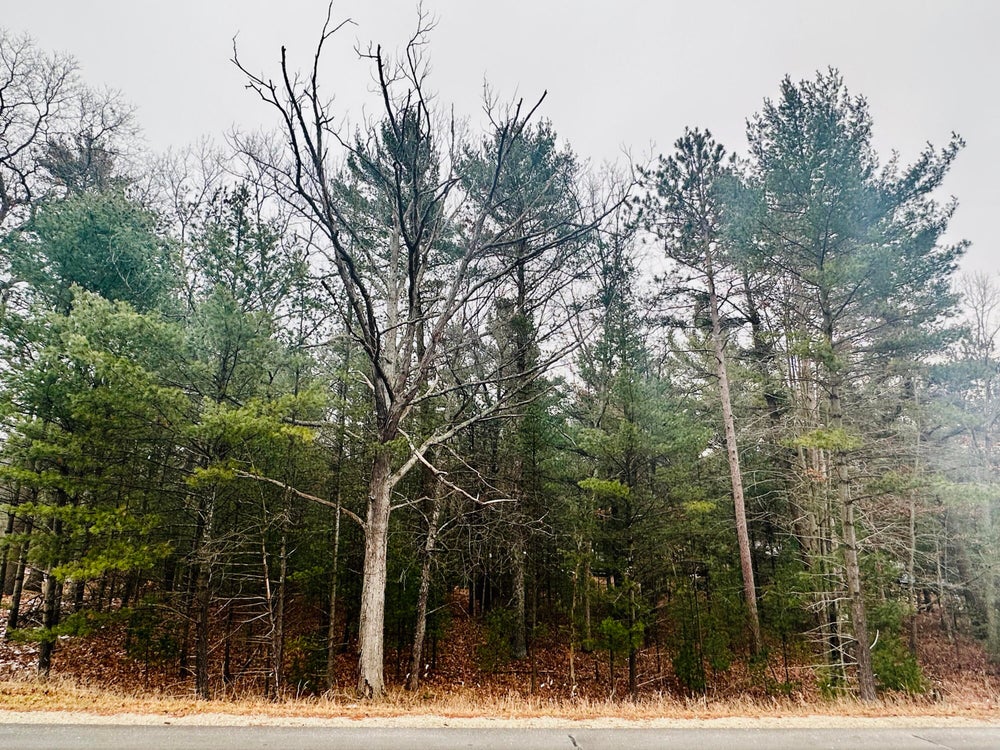 Us Br 31, Pentwater, MI 49449 MLS 23145507 Coldwell Banker