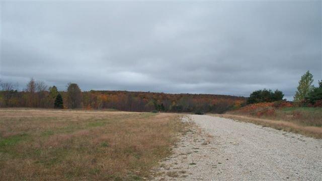Listing view 3