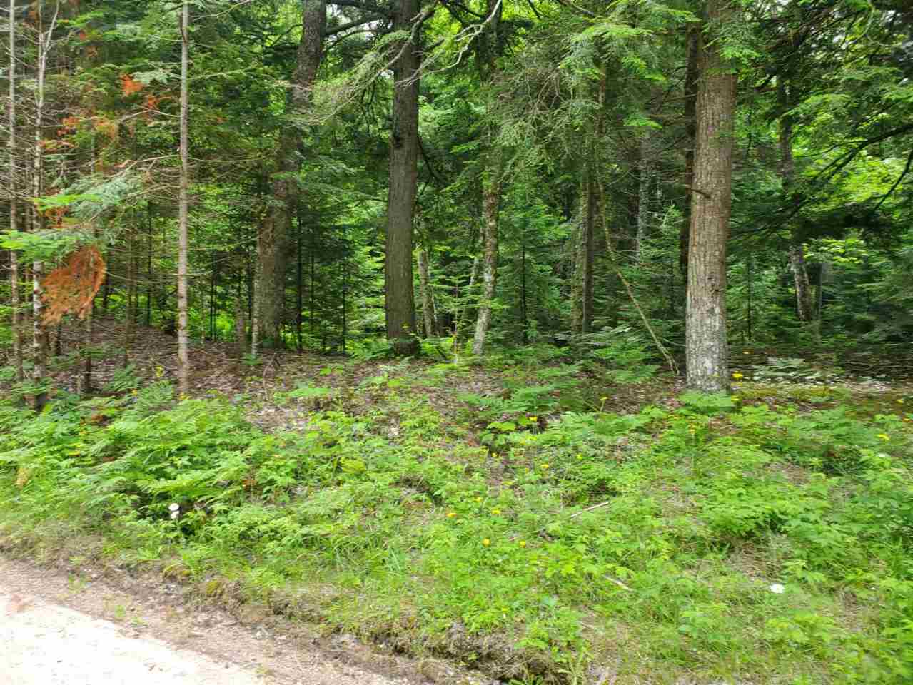 Listing view 3