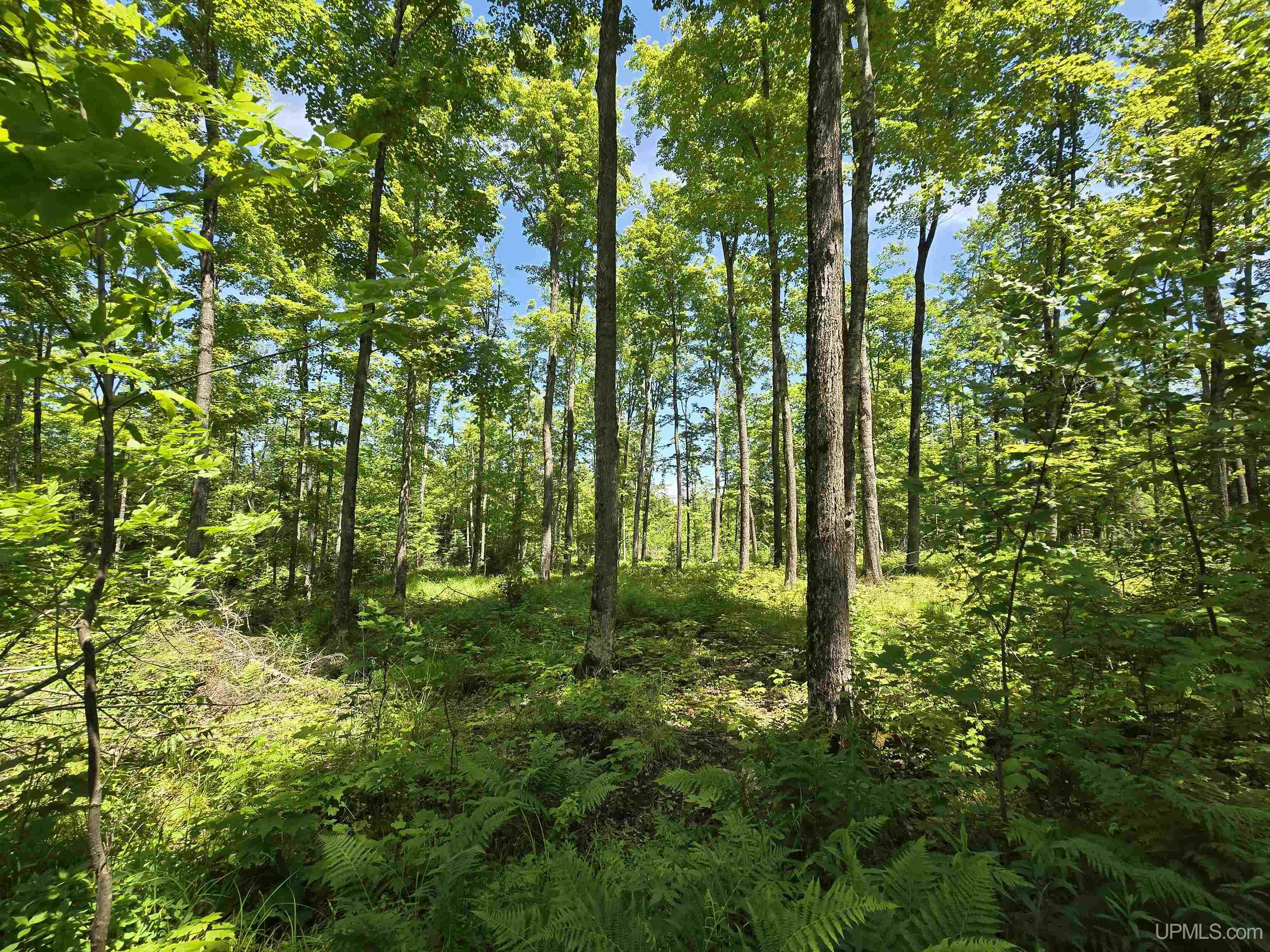 Parcel A - TBD St Cyr/roth, L'Anse, MI 49946 - MLS# 50138467 