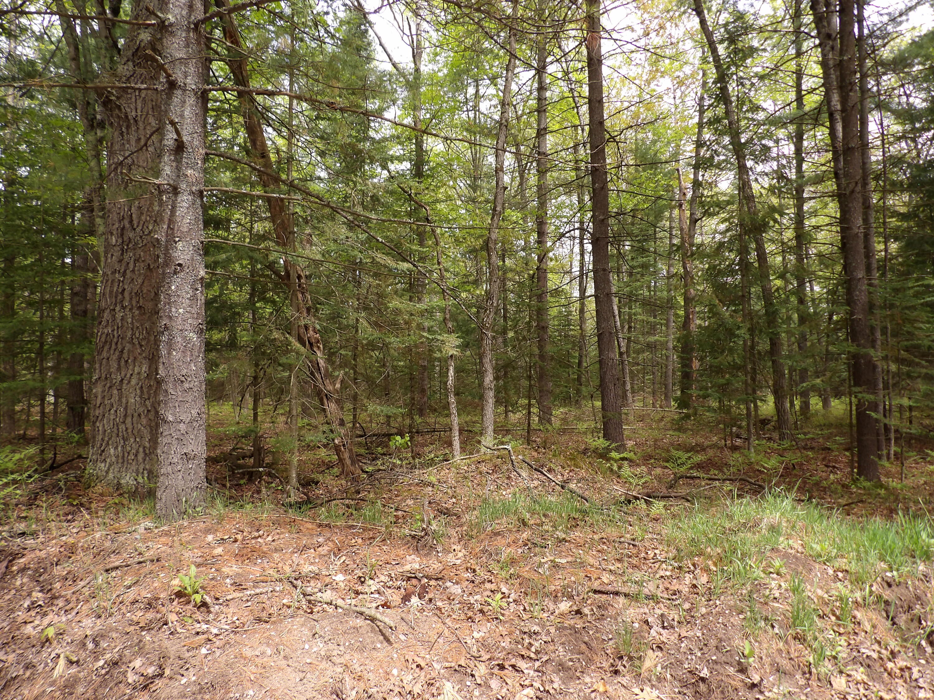 Listing view 3