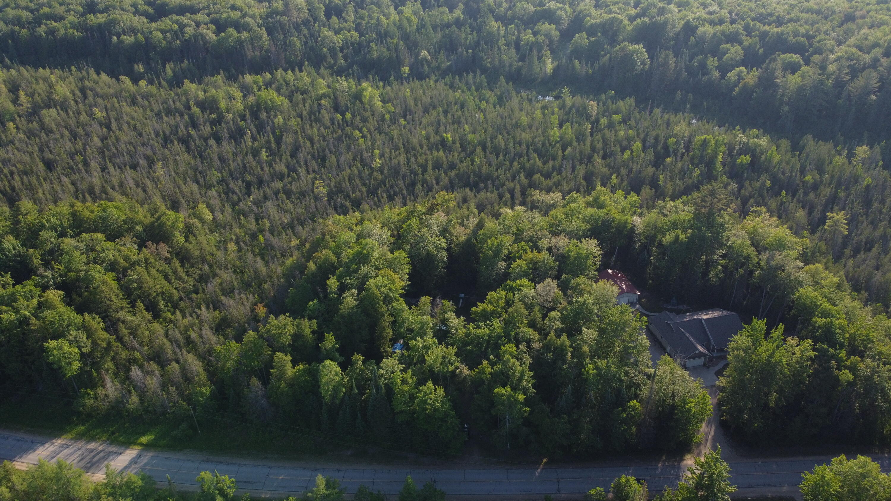 Listing view 3