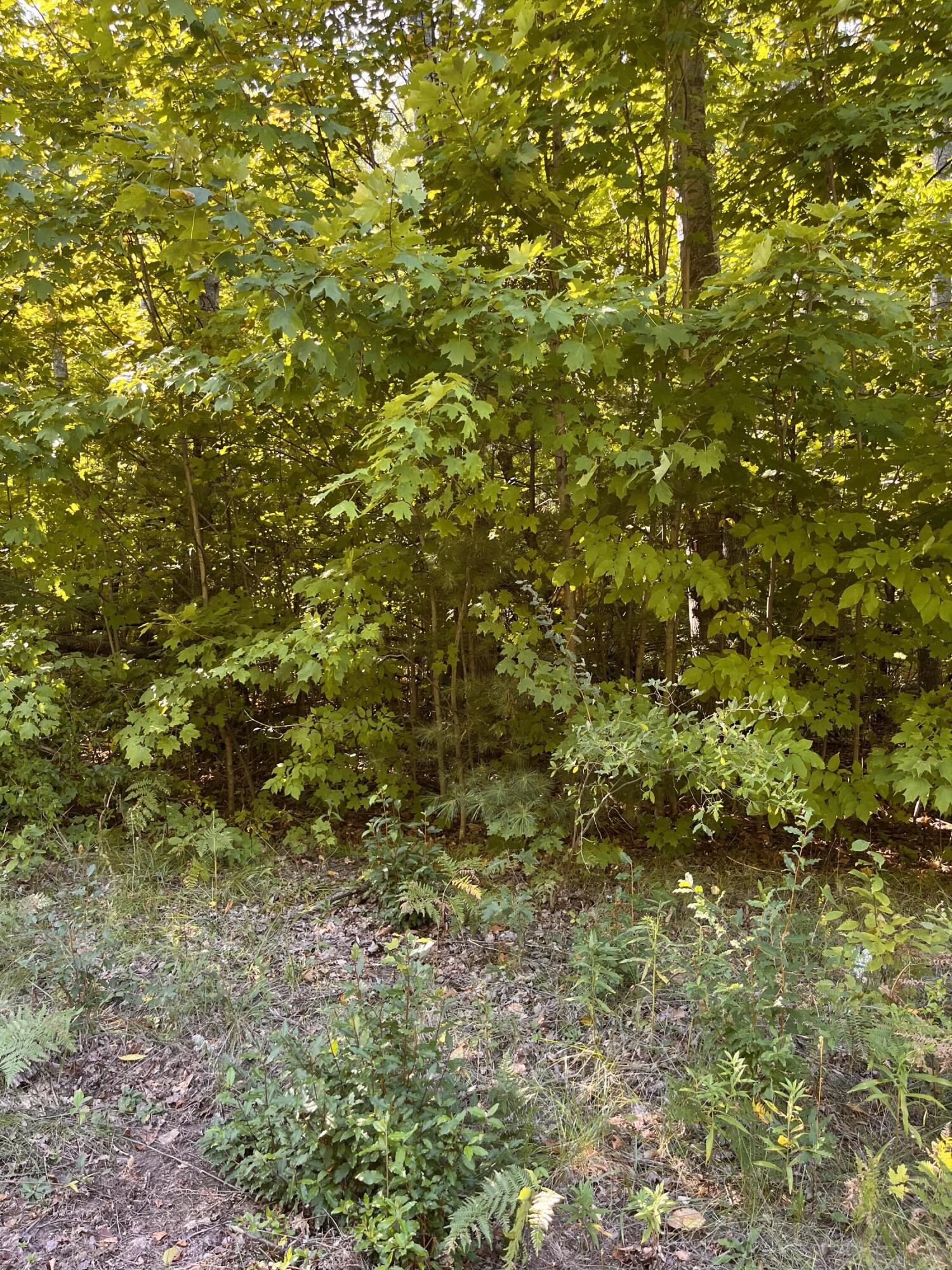 Listing view 3