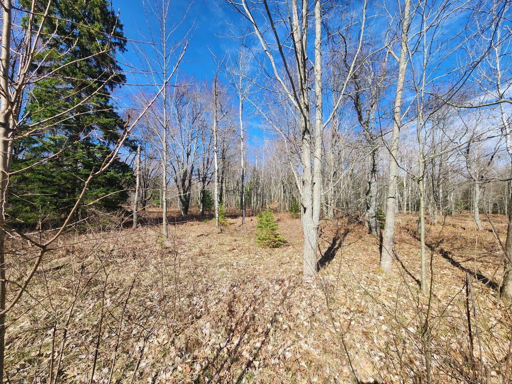 Lot 1829 Sandpiper Trail, Gaylord, MI 49735 MLS 201829048 Coldwell
