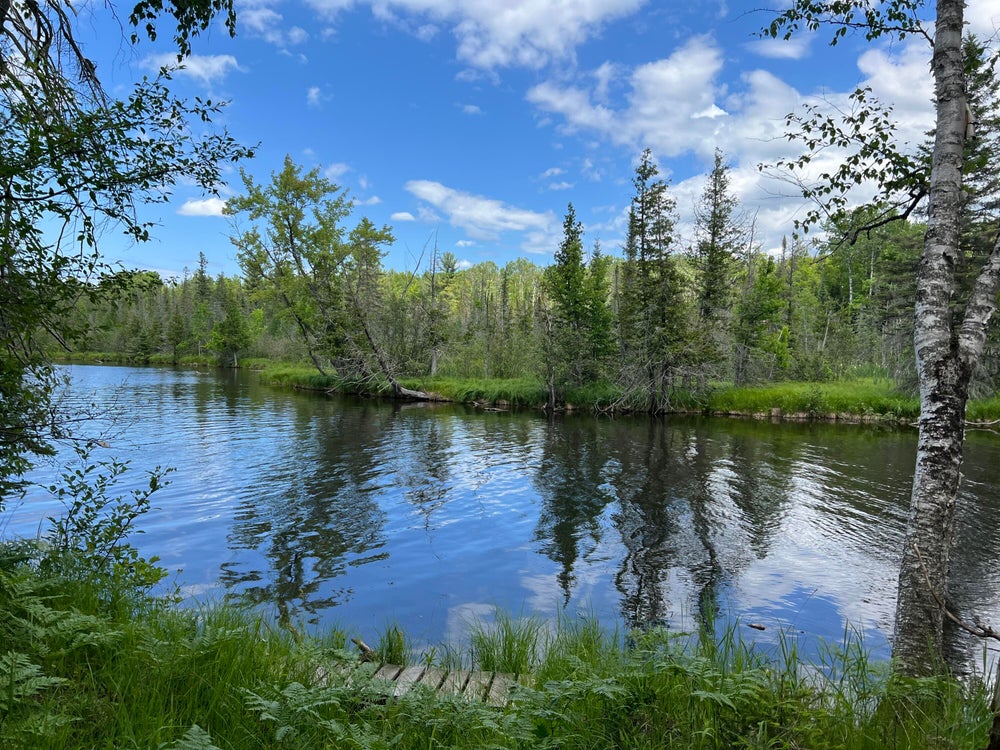 7783 Riverbend Drive, Onaway, MI 49765 MLS 201830294 Coldwell Banker