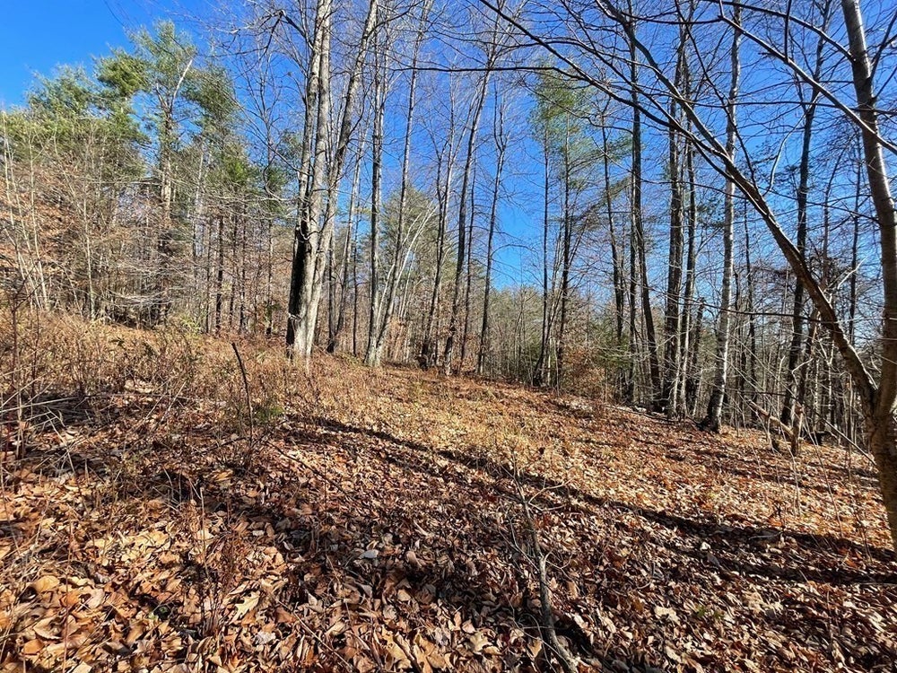 57 Fiske Mill Road, Shelburne, MA 01370 MLS 73048963 Coldwell Banker