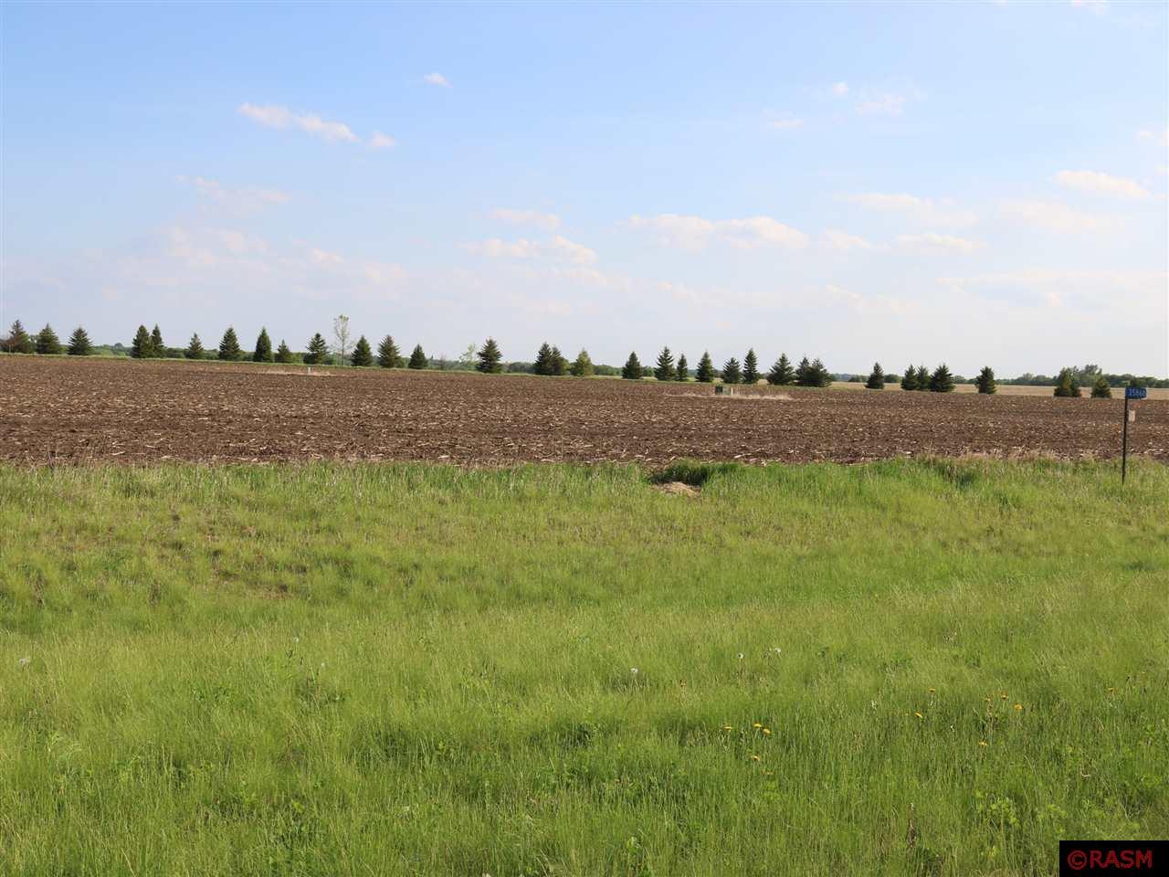 Listing view 3