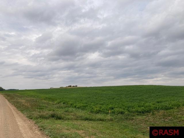 Listing view 3