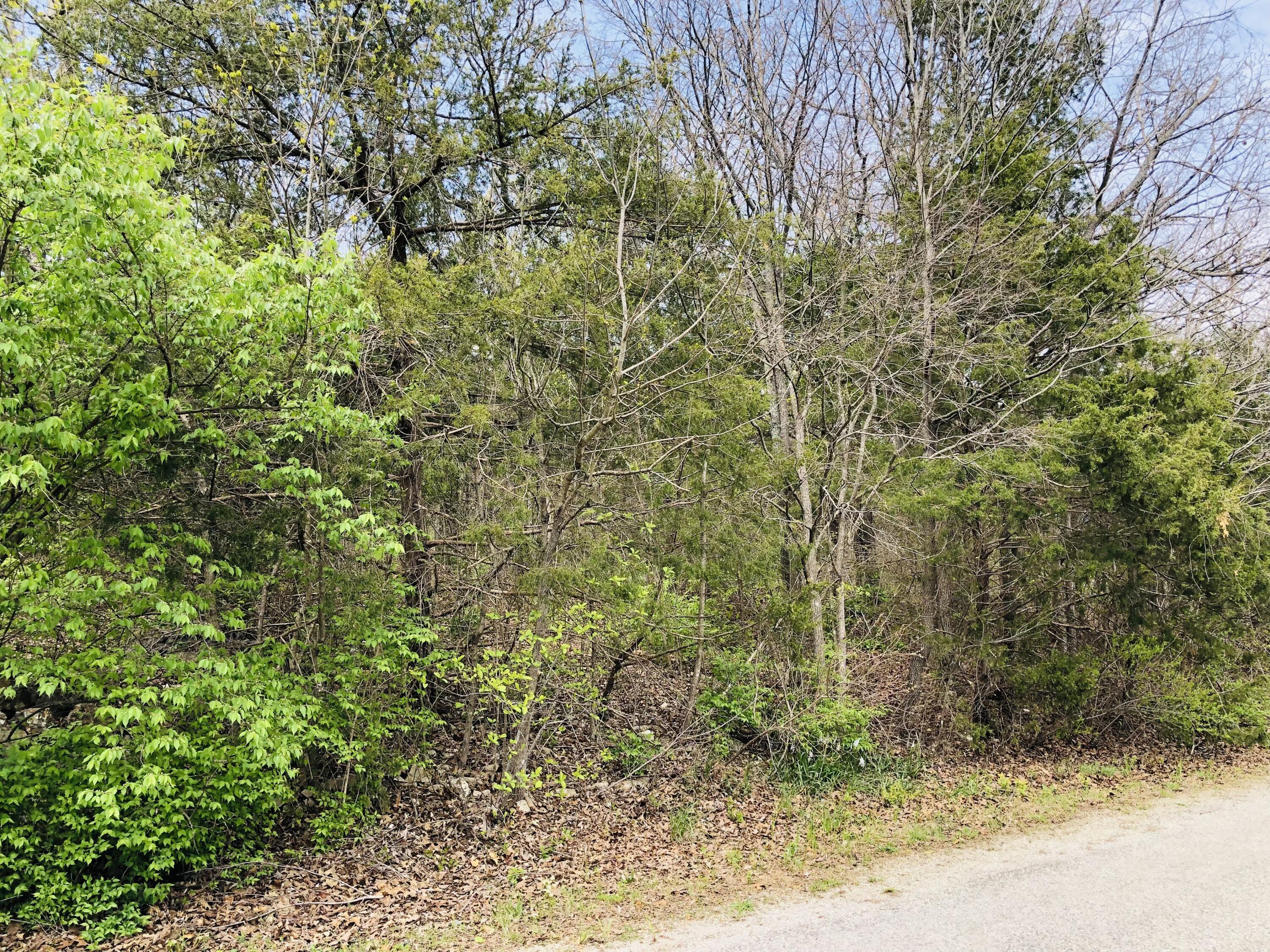 Listing view 3