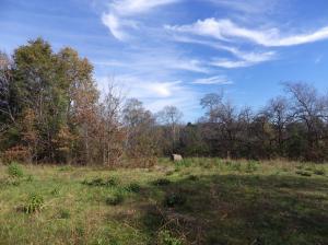 Listing view 2