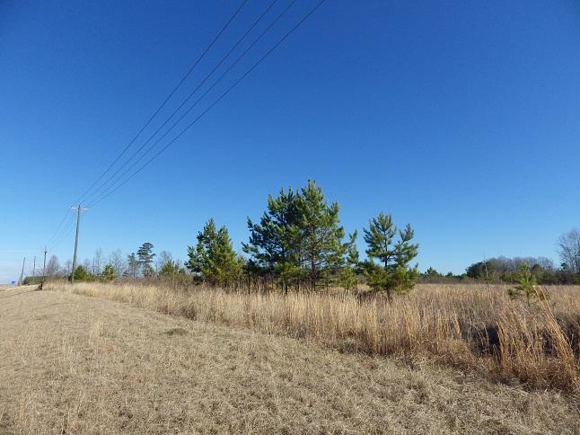 Listing view 3