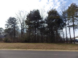 Listing view 3