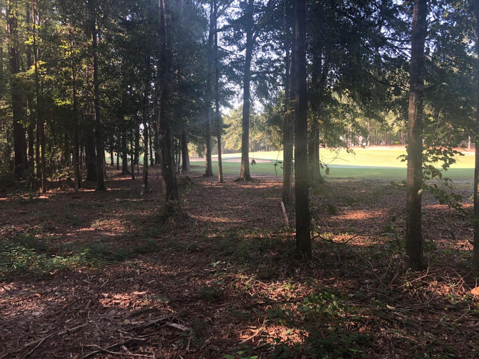 Listing view 3