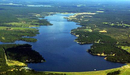 3 Loblolly Big Bay Lk