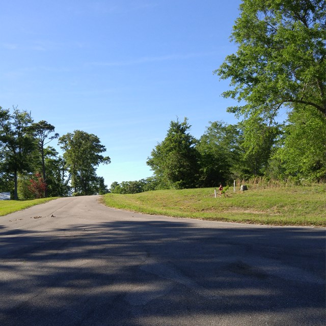 Listing view 2