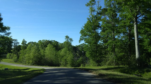 Listing view 3
