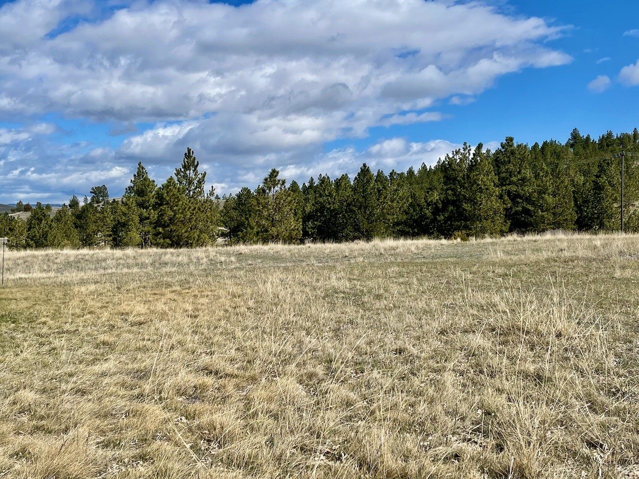 160 Dayspring Loop, Helena, MT 59601 - MLS# 30004585 - Coldwell Banker