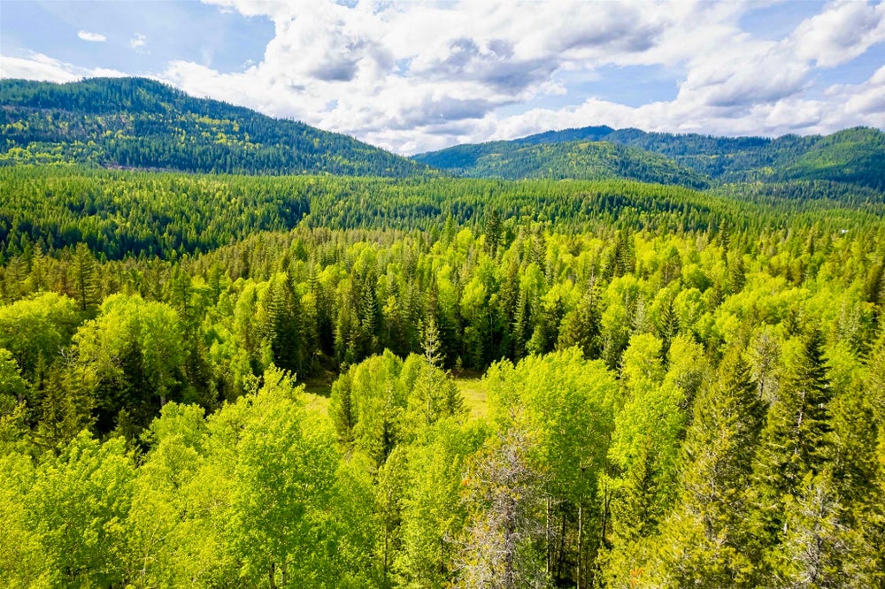 2705 Parker Hill Road, Columbia Falls, MT 59912 MLS 30027135