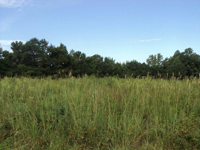 Listing view 2