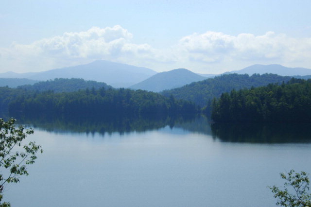 Listing view 2