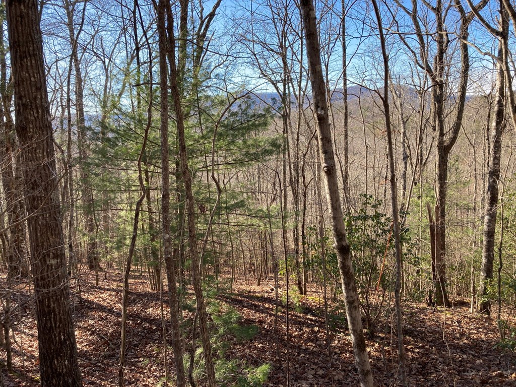 Listing view 2