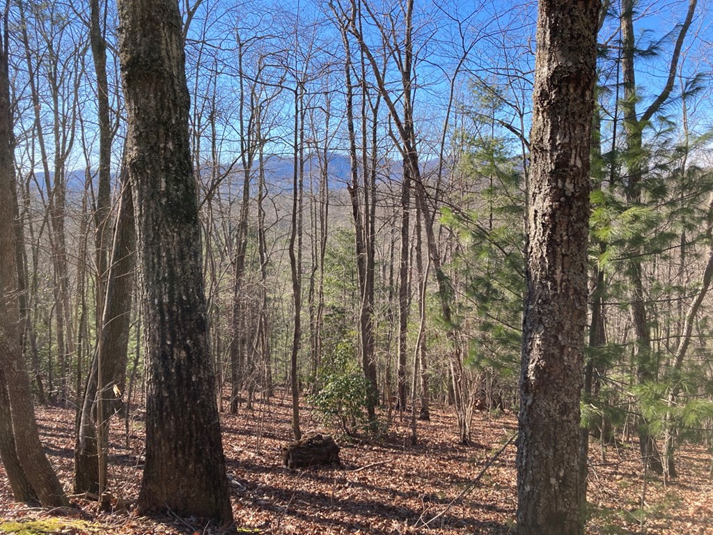 Listing view 3